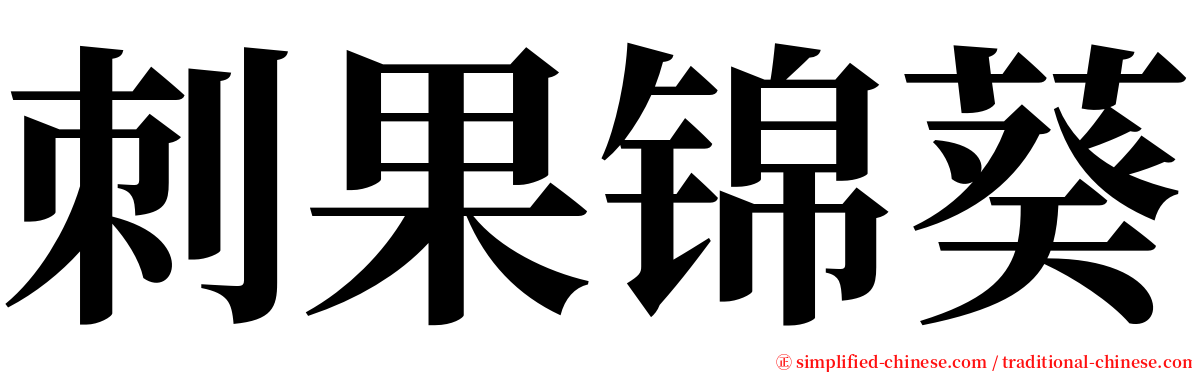 刺果锦葵 serif font