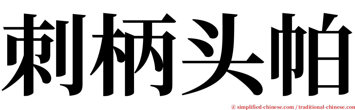 刺柄头帕 serif font