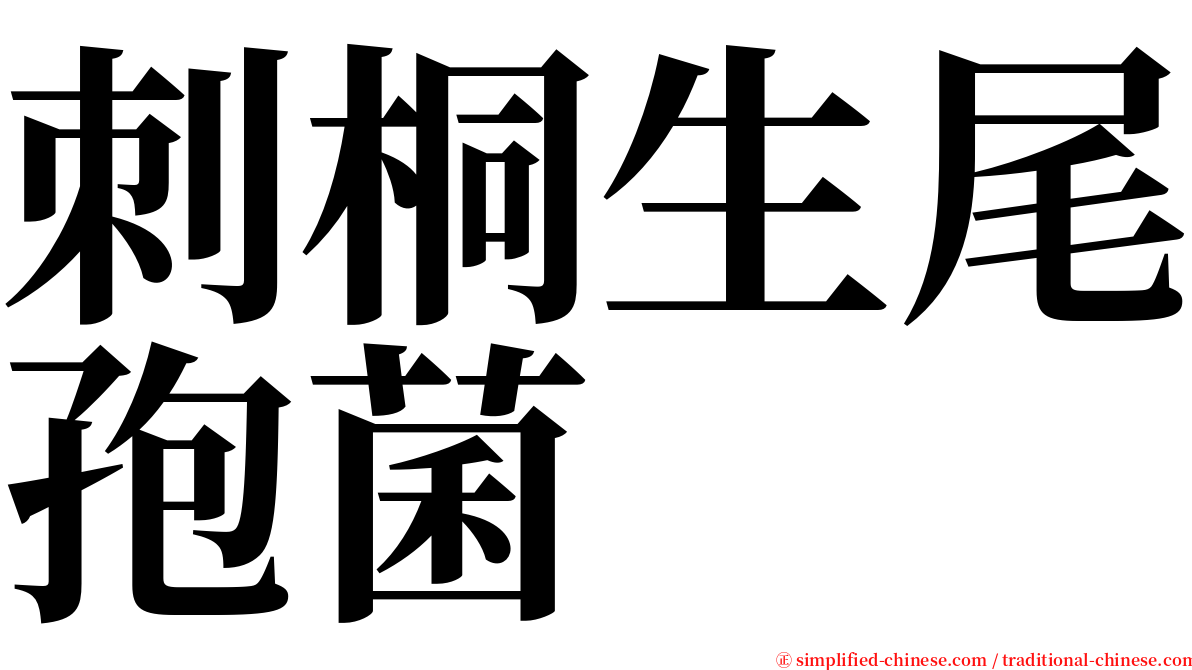 刺桐生尾孢菌 serif font