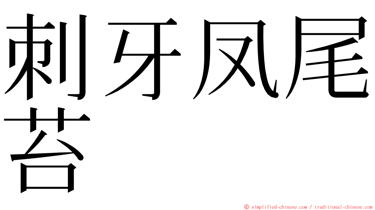 刺牙凤尾苔 ming font