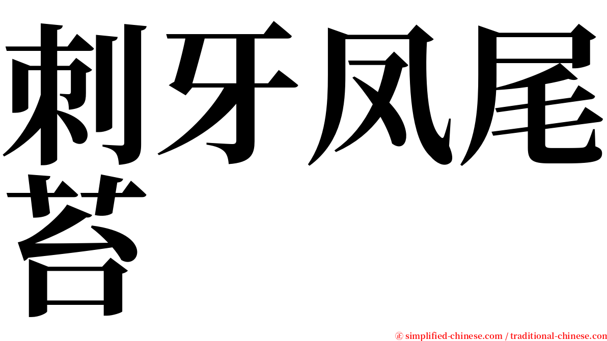 刺牙凤尾苔 serif font