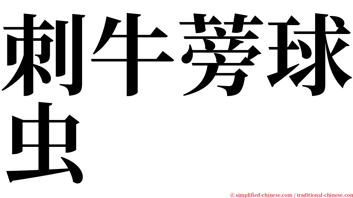 刺牛蒡球虫 serif font