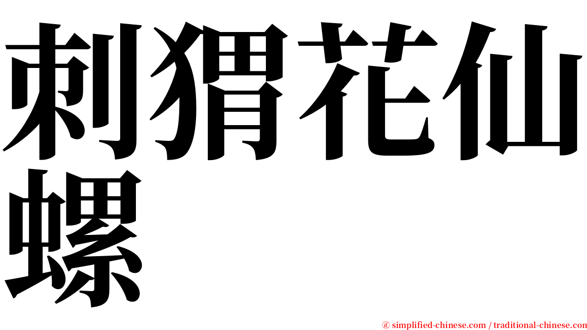 刺猬花仙螺 serif font