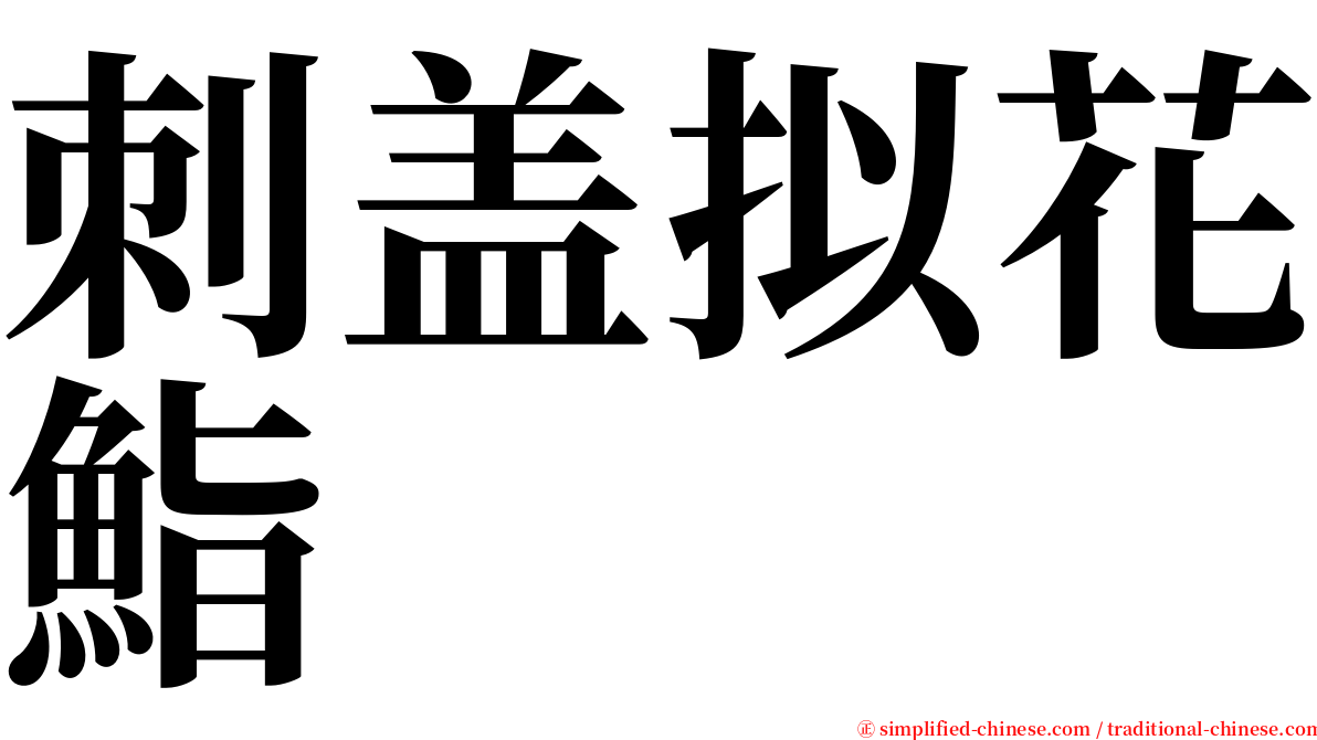 刺盖拟花鮨 serif font