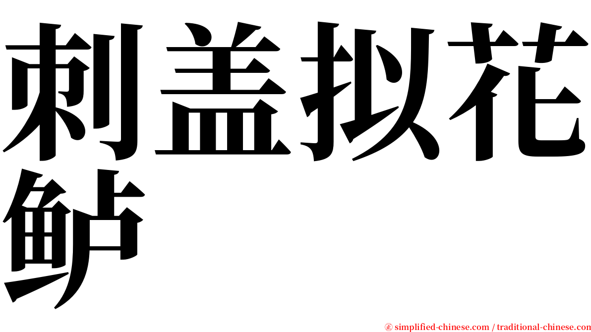 刺盖拟花鲈 serif font