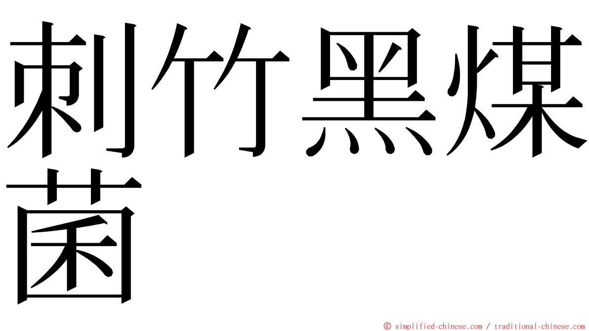 刺竹黑煤菌 ming font