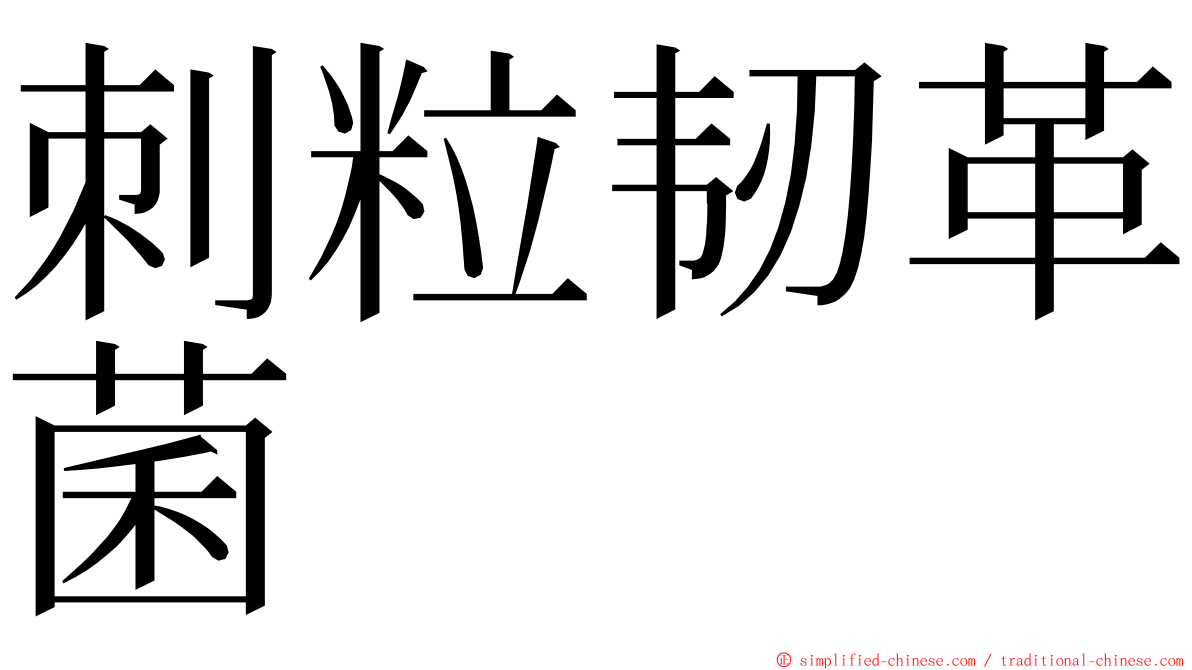 刺粒韧革菌 ming font