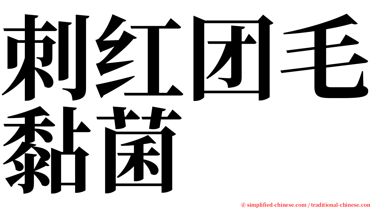 刺红团毛黏菌 serif font