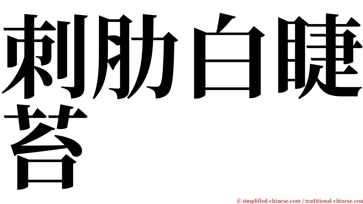 刺肋白睫苔 serif font