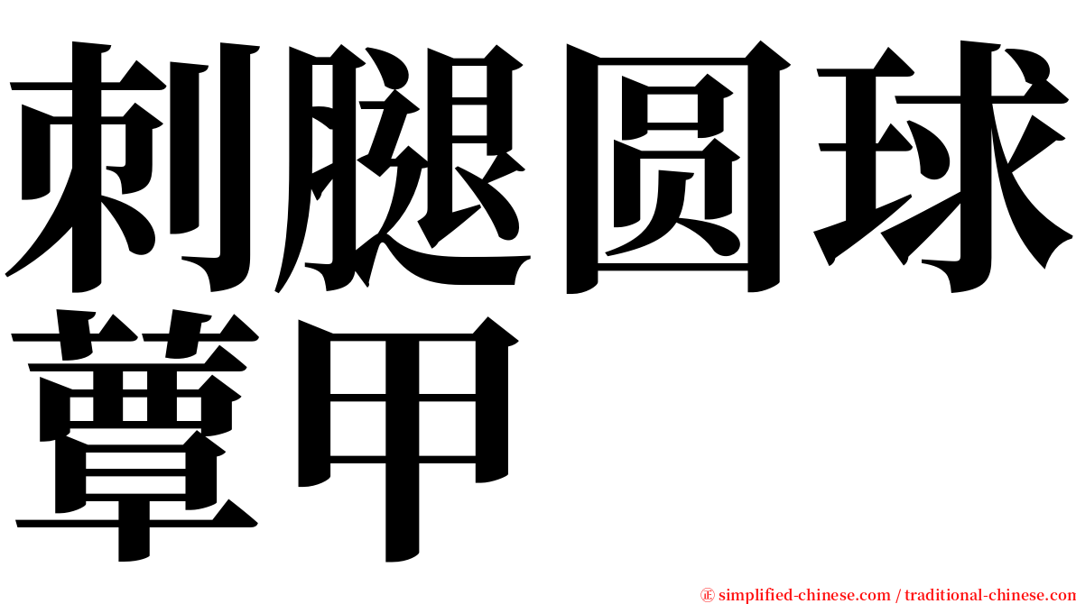 刺腿圆球蕈甲 serif font