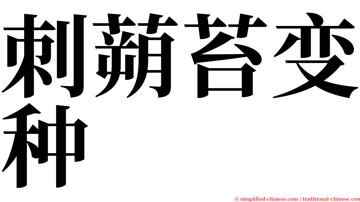 刺蒴苔变种 serif font