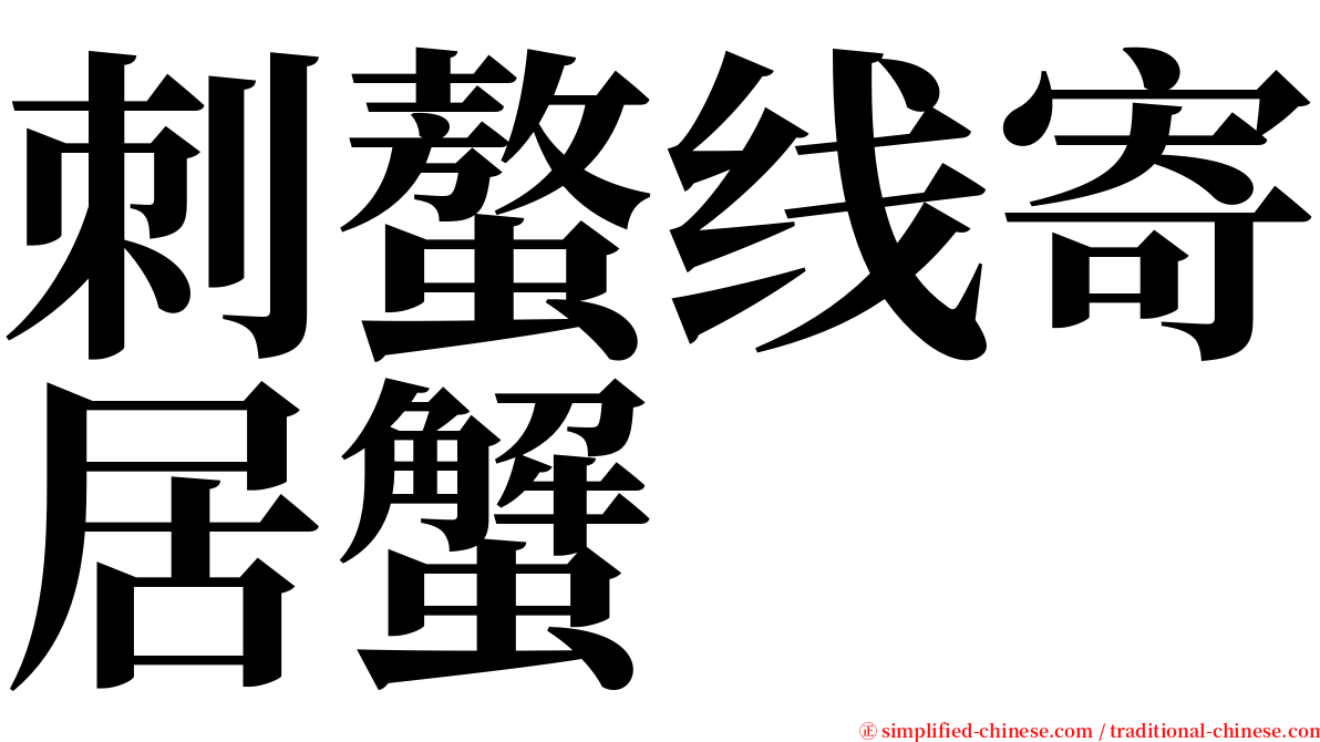 刺螯线寄居蟹 serif font