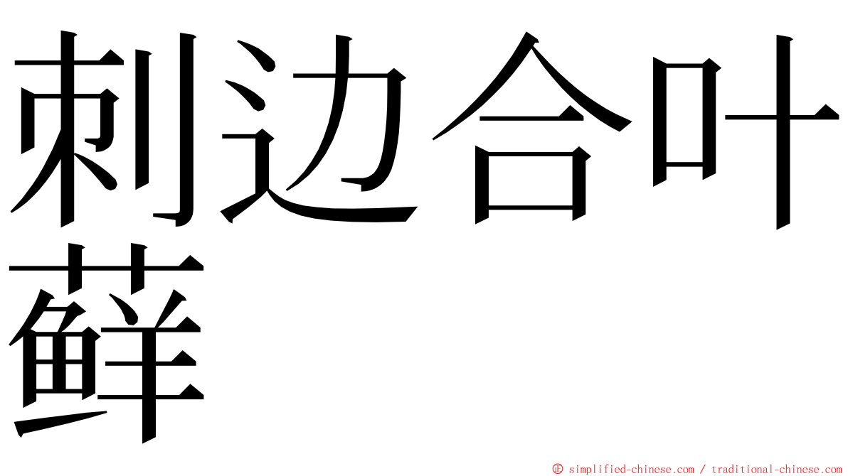 刺边合叶藓 ming font