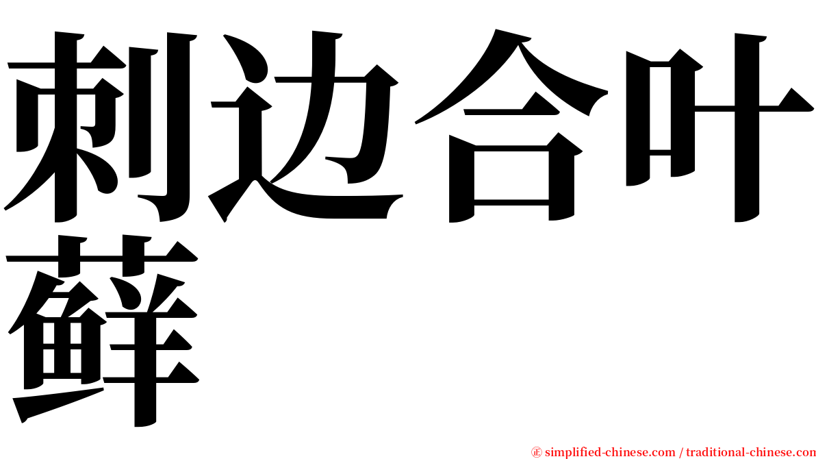 刺边合叶藓 serif font