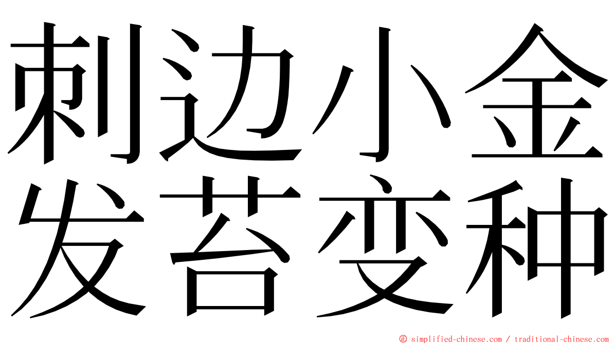 刺边小金发苔变种 ming font