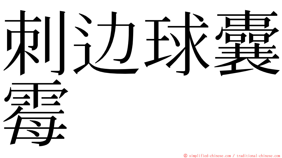 刺边球囊霉 ming font