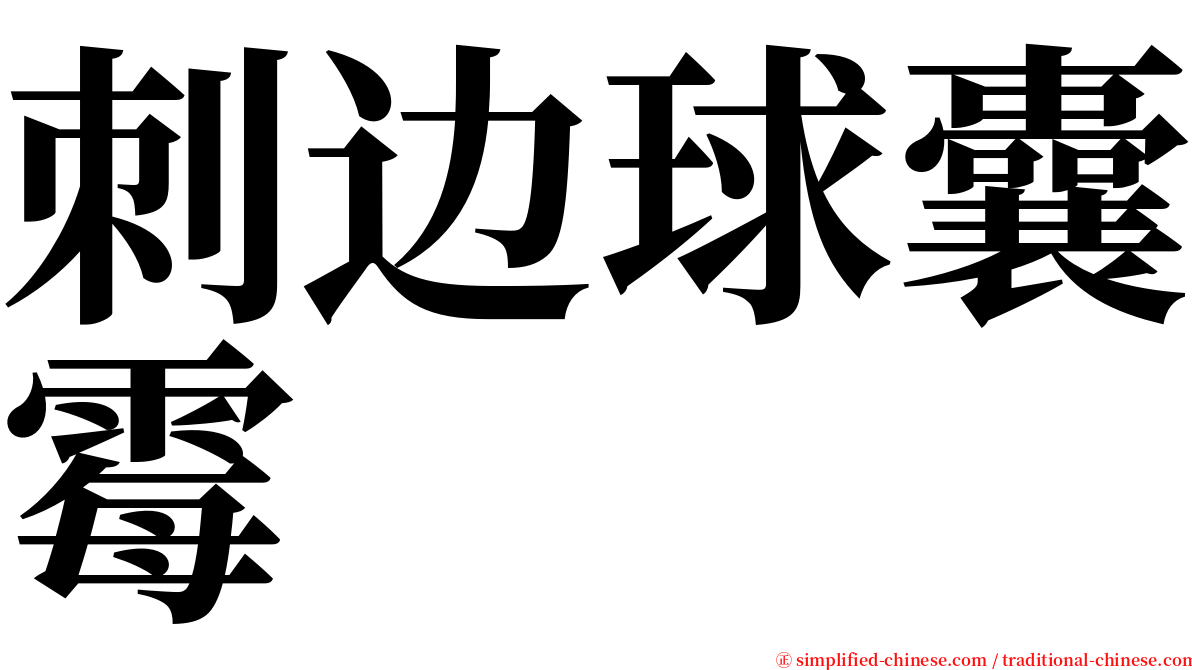 刺边球囊霉 serif font