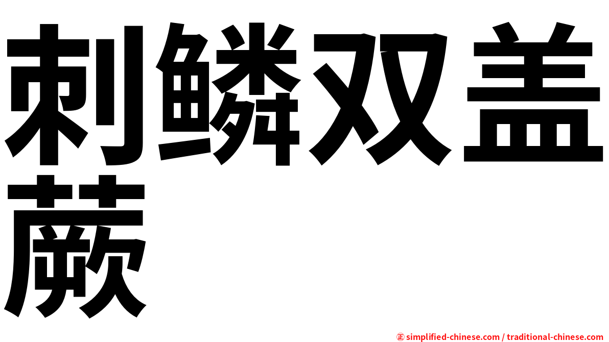 刺鳞双盖蕨