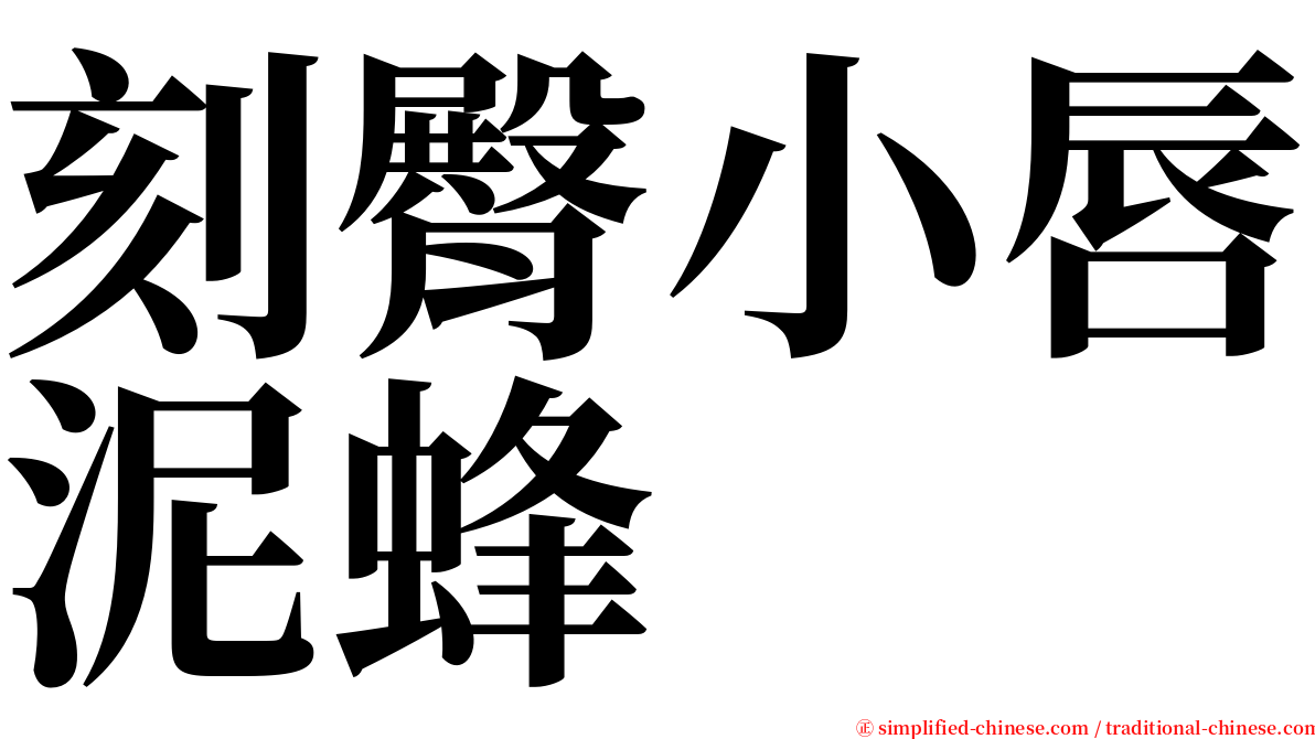 刻臀小唇泥蜂 serif font