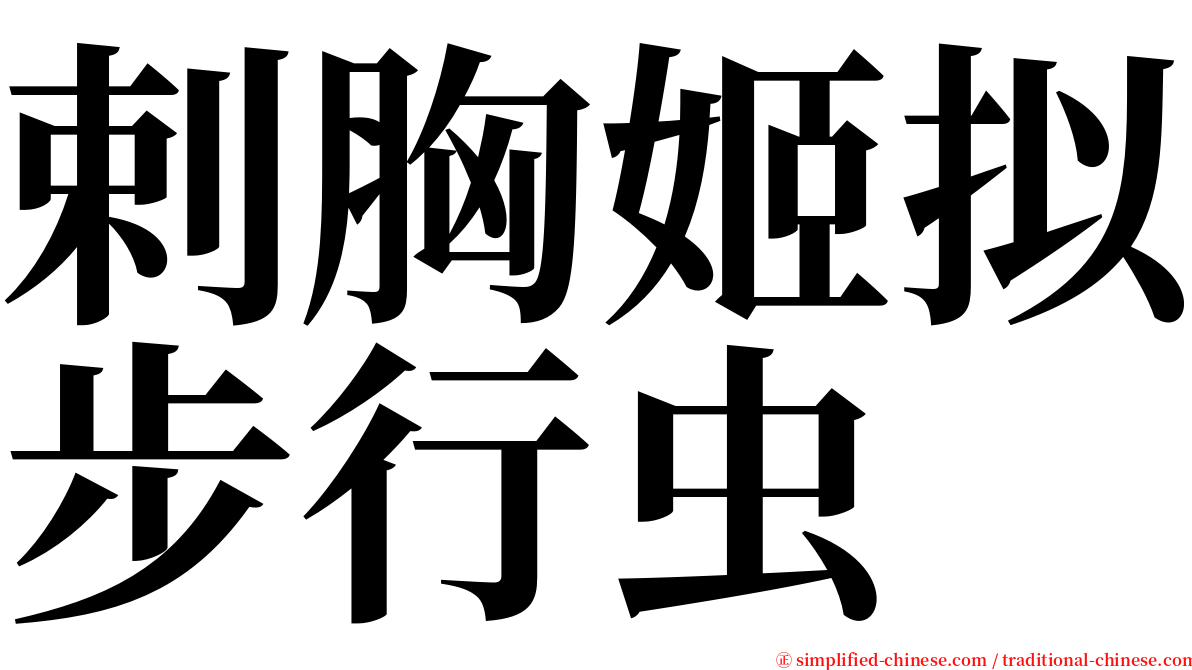 剌胸姬拟步行虫 serif font