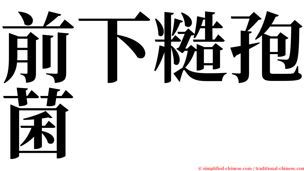 前下糙孢菌 serif font