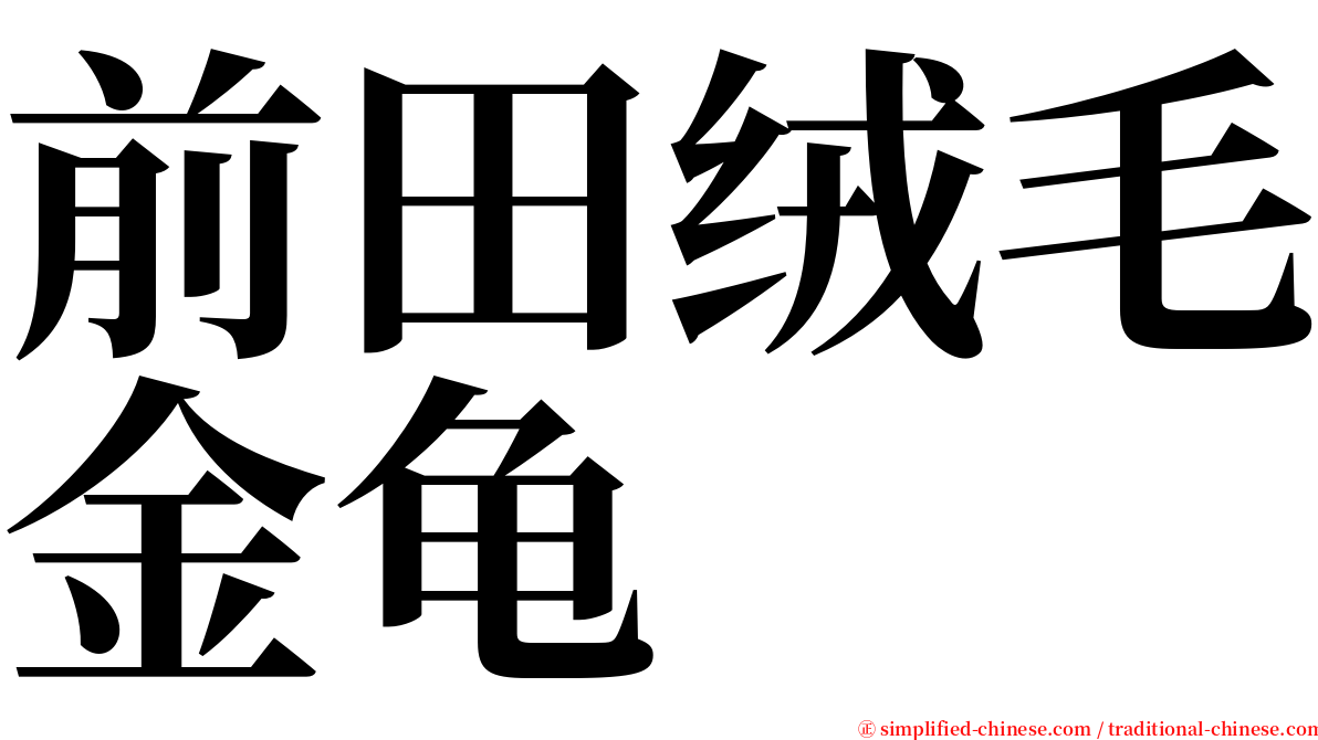 前田绒毛金龟 serif font