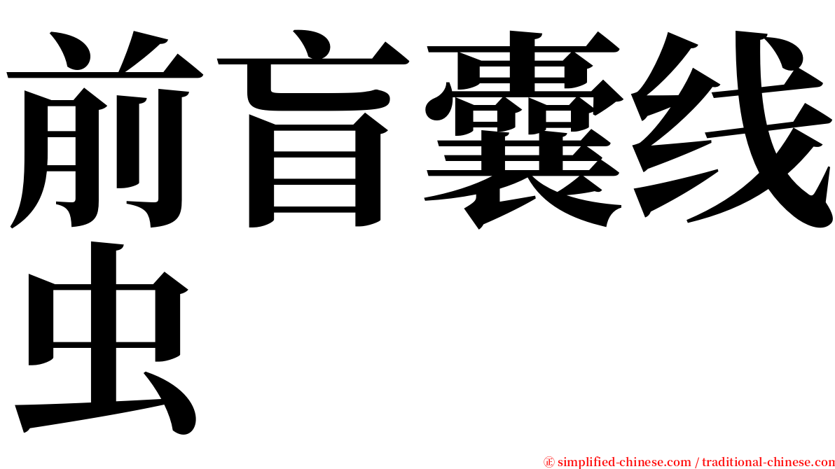 前盲囊线虫 serif font