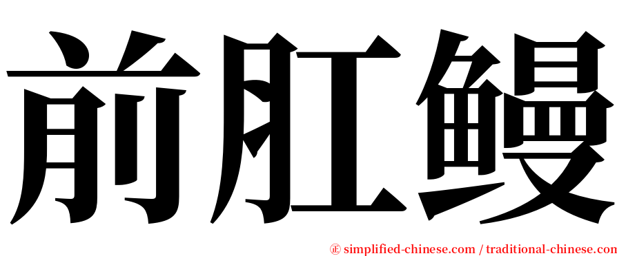 前肛鳗 serif font