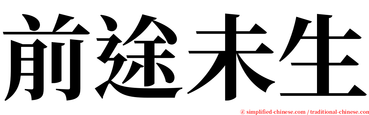 前途未生 serif font