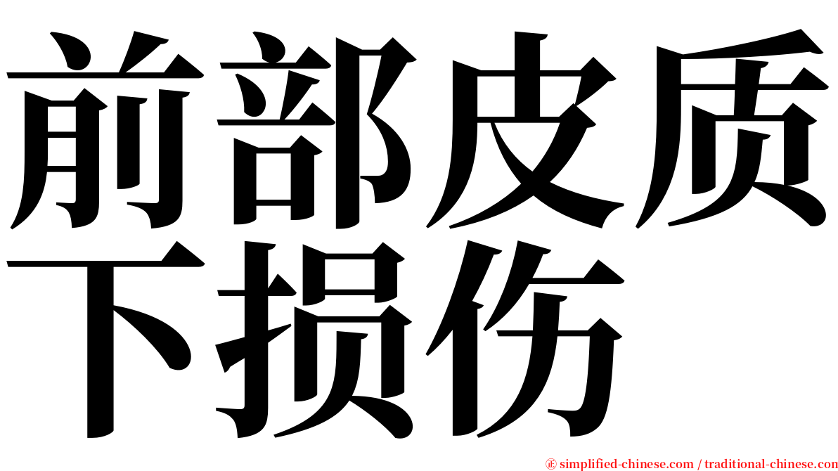 前部皮质下损伤 serif font