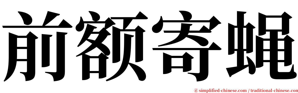 前额寄蝇 serif font