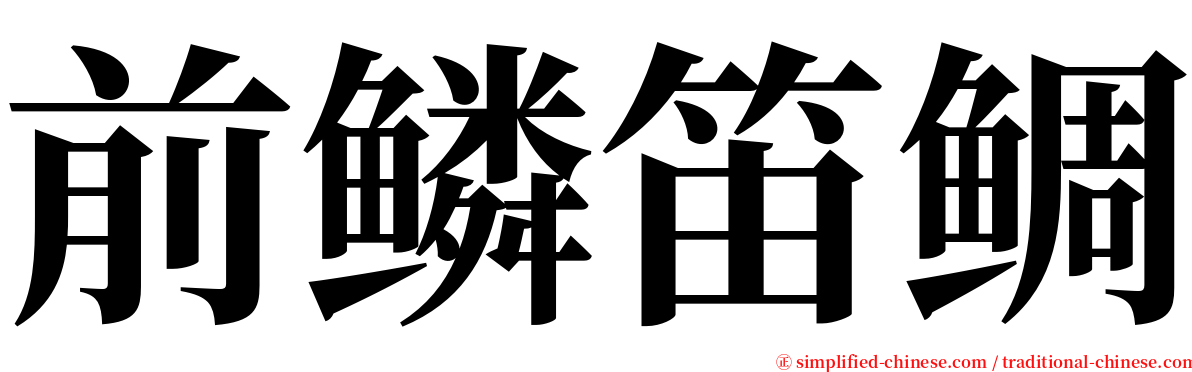 前鳞笛鲷 serif font