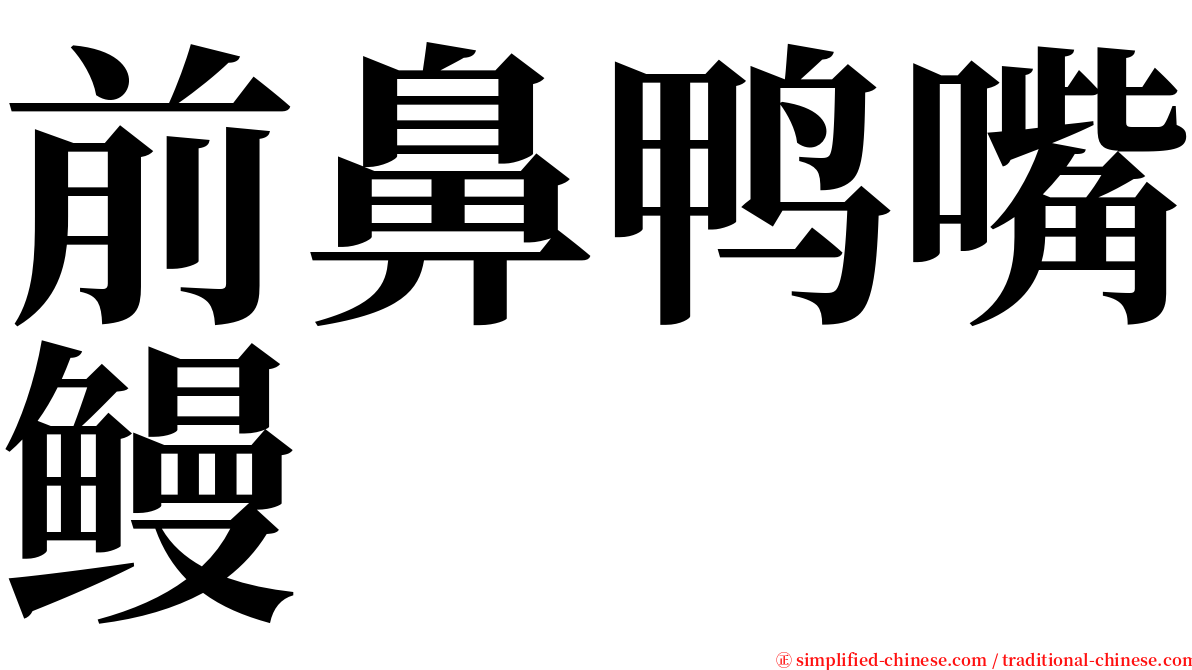 前鼻鸭嘴鳗 serif font