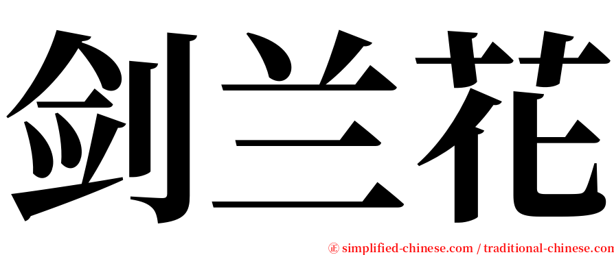 剑兰花 serif font