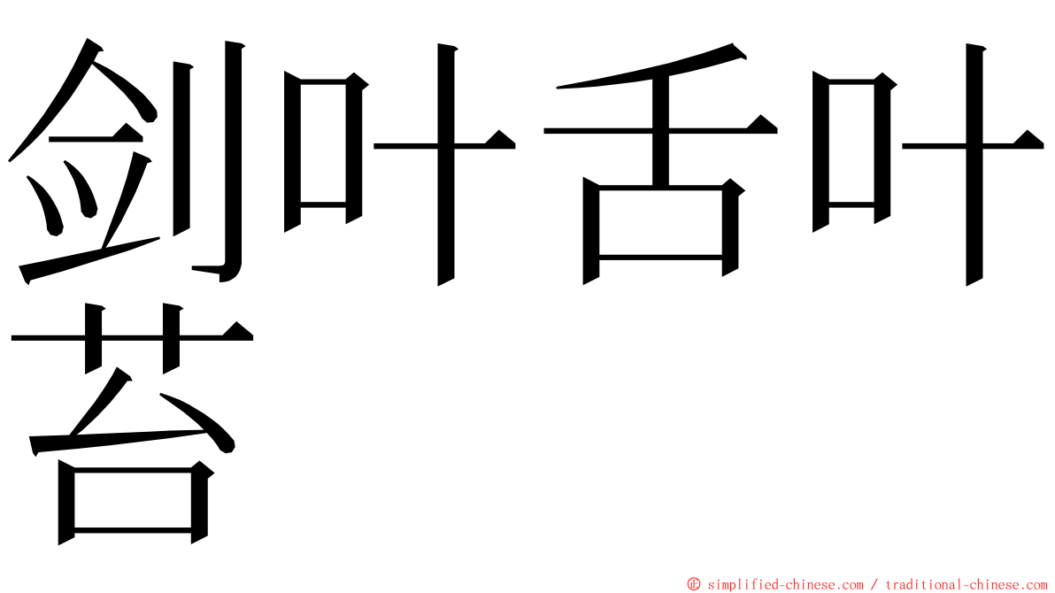 剑叶舌叶苔 ming font
