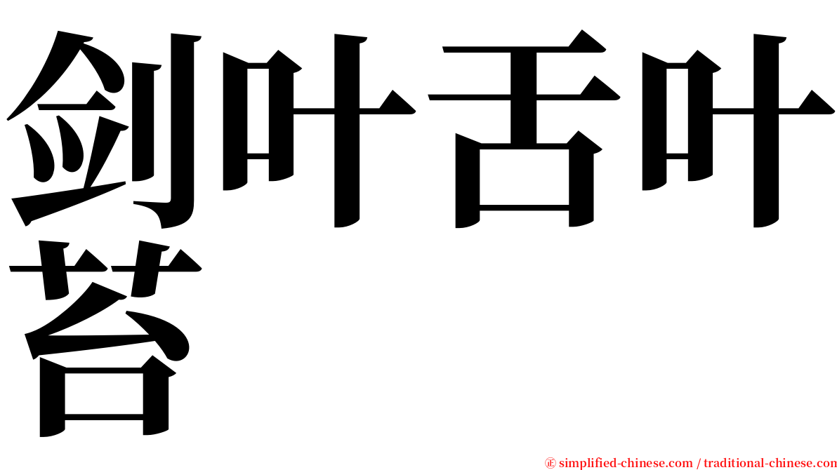剑叶舌叶苔 serif font