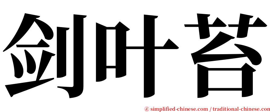 剑叶苔 serif font