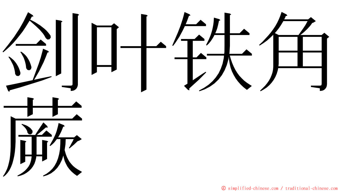 剑叶铁角蕨 ming font