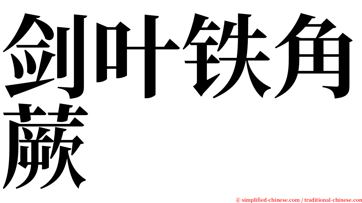 剑叶铁角蕨 serif font