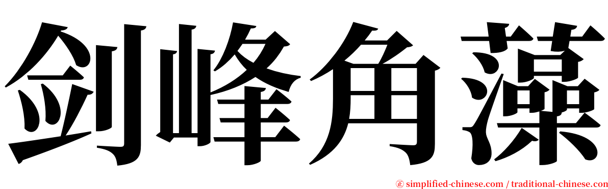 剑峰角藻 serif font