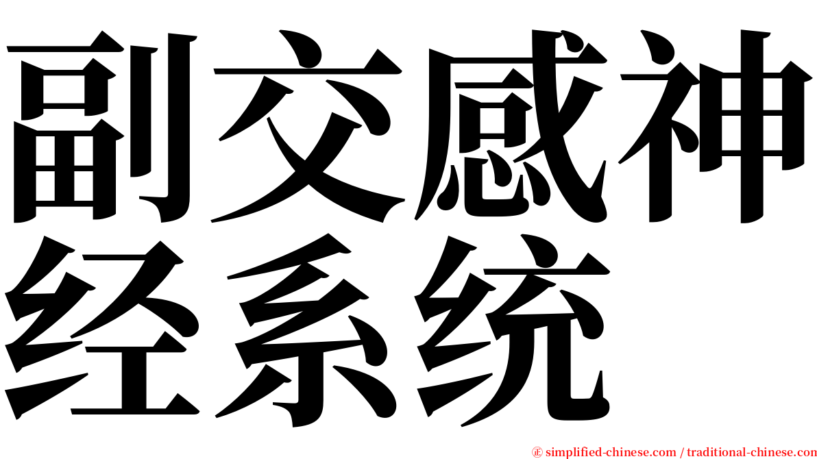 副交感神经系统 serif font