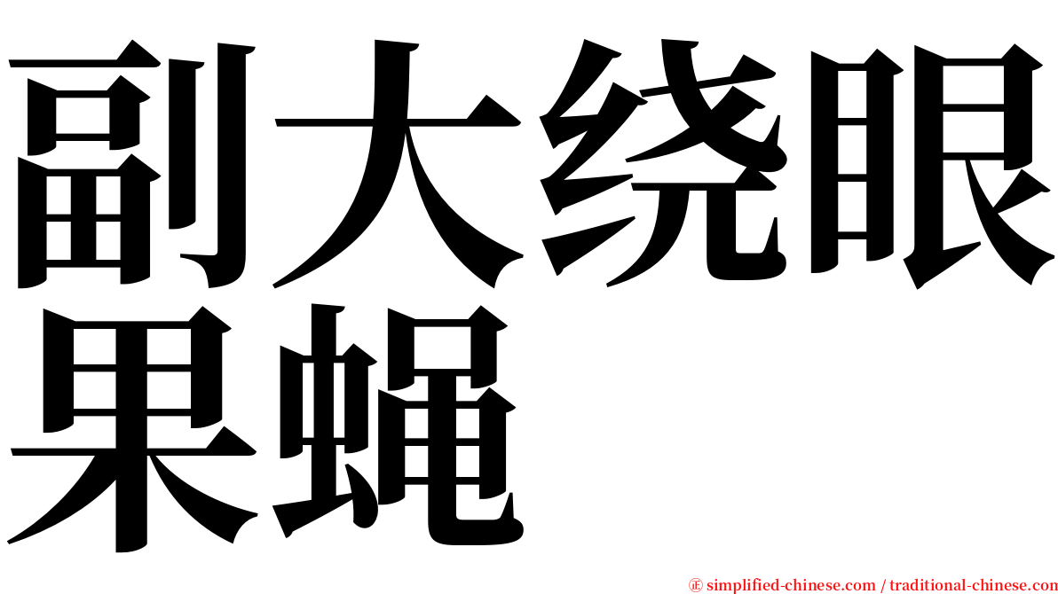 副大绕眼果蝇 serif font