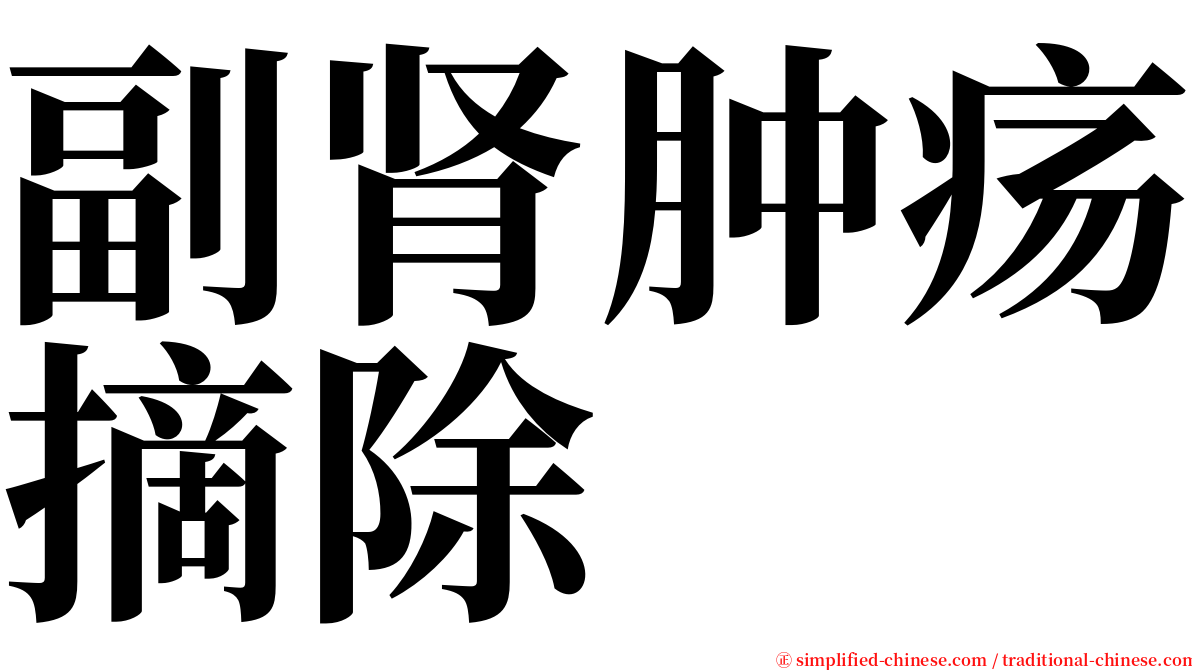 副肾肿疡摘除 serif font