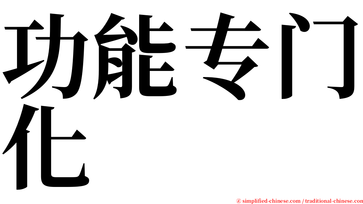 功能专门化 serif font