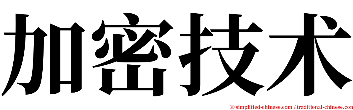 加密技术 serif font