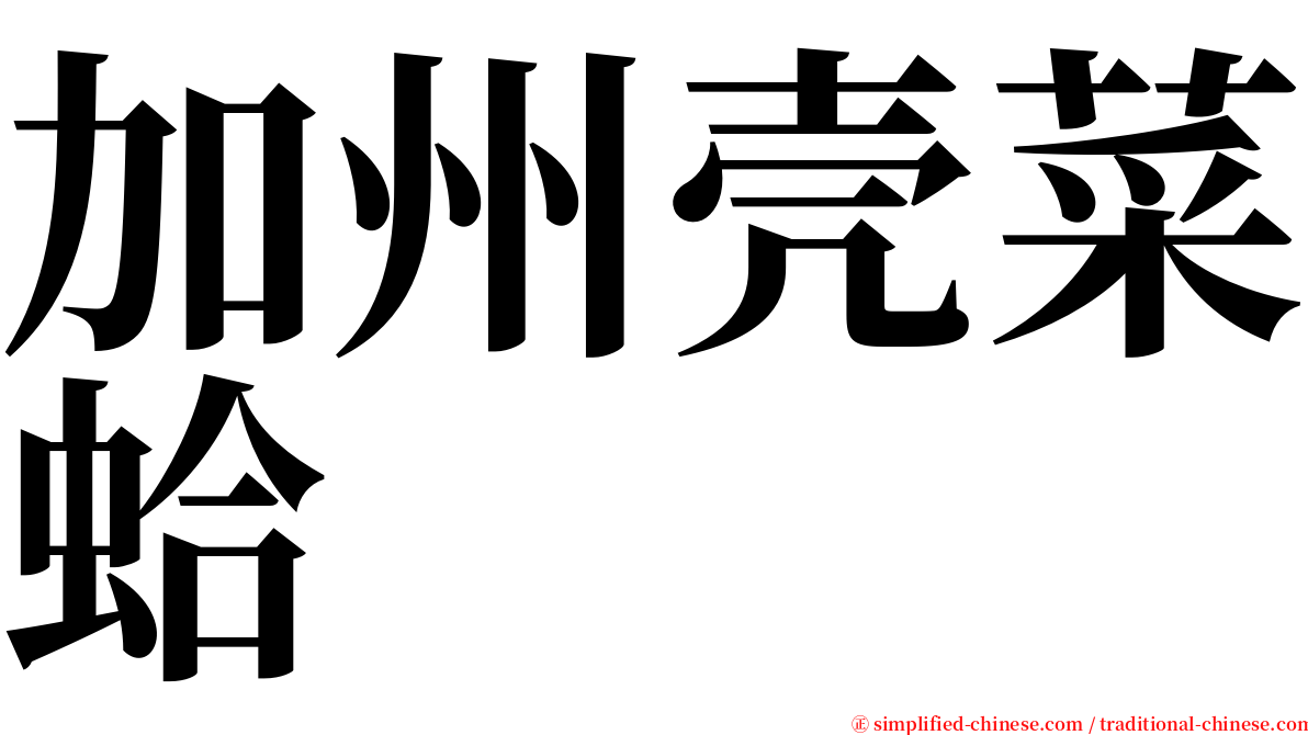 加州壳菜蛤 serif font