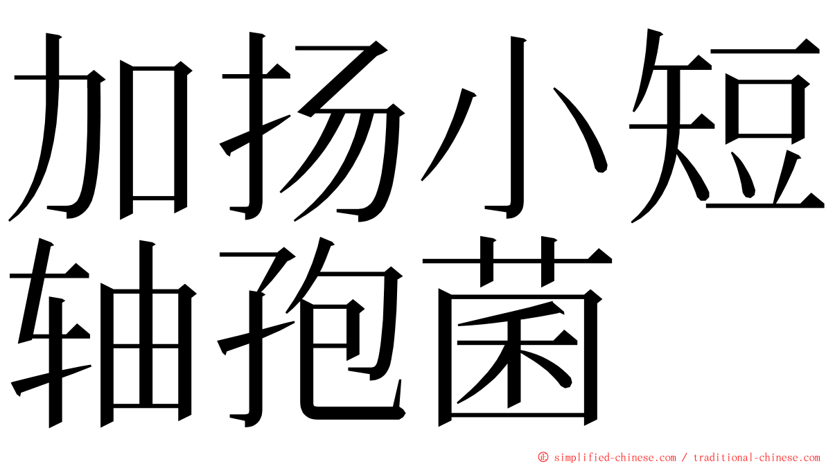 加扬小短轴孢菌 ming font