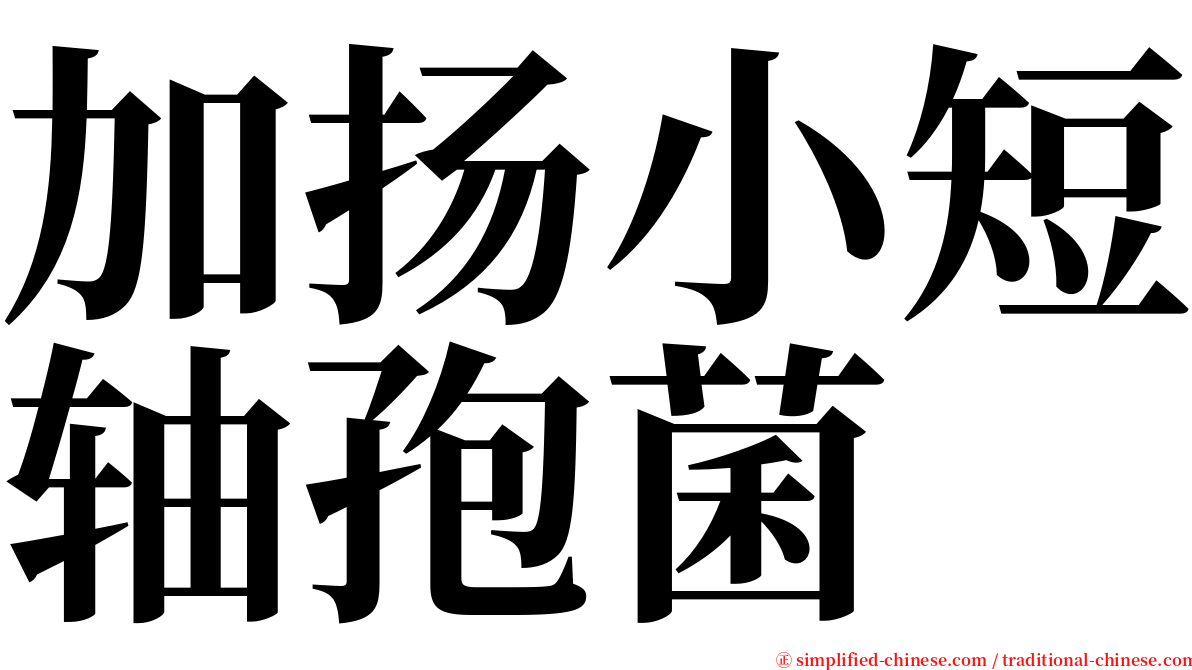 加扬小短轴孢菌 serif font