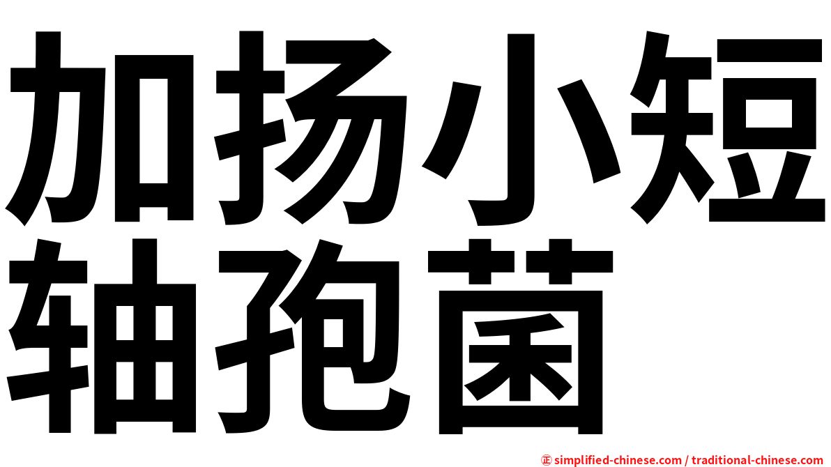 加扬小短轴孢菌