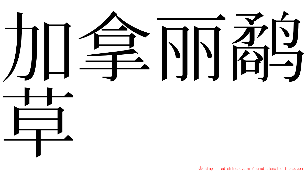 加拿丽鹬草 ming font